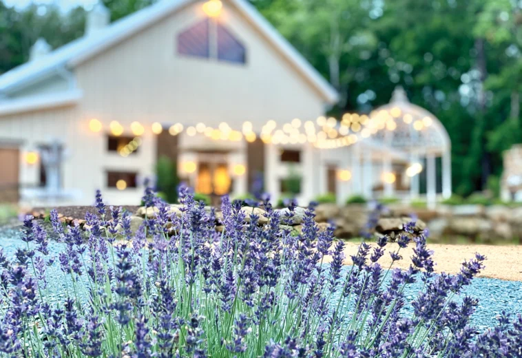 Spend a day at Chapel Hill’s Lavender Oaks Farm