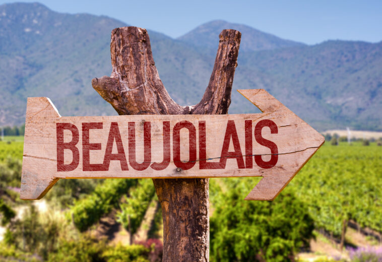 Go Beaujolais for the holidays—leave out the Nouveau!